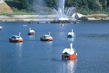 Boat Landing
