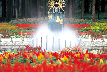 Tainai Flower Park